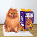 Tapete Higiênico Premium Espaço De Bicho 50 Un Cães Absorção Rápida Controle de Odor Alta Durabilidade