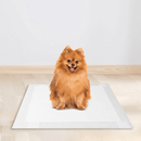 Tapete Higiênico Premium Espaço De Bicho 30 Un Cães Absorção Rápida Controle de Odor Alta Durabilidade
