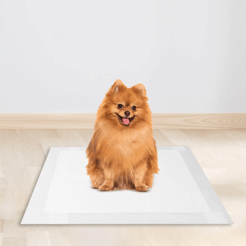 Tapete Higiênico Premium Espaço De Bicho 30 Un Cães Absorção Rápida Controle de Odor Alta Durabilidade
